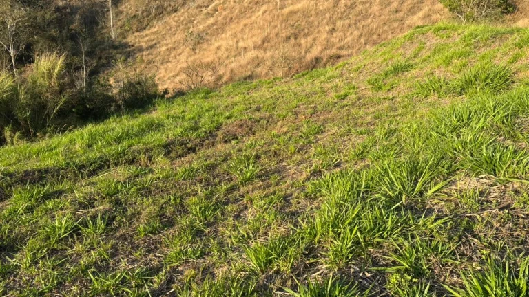 Terreno a venda em Juiz de Fora