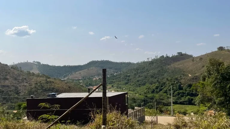 16172976-d927-4e45-9dfe-708e7c559dba_19_11zon